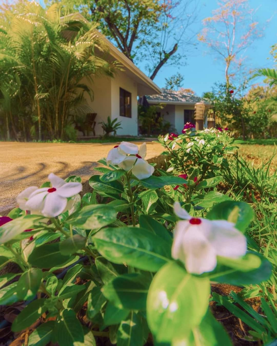San Juanillo Buddha Retreat Hotel מראה חיצוני תמונה