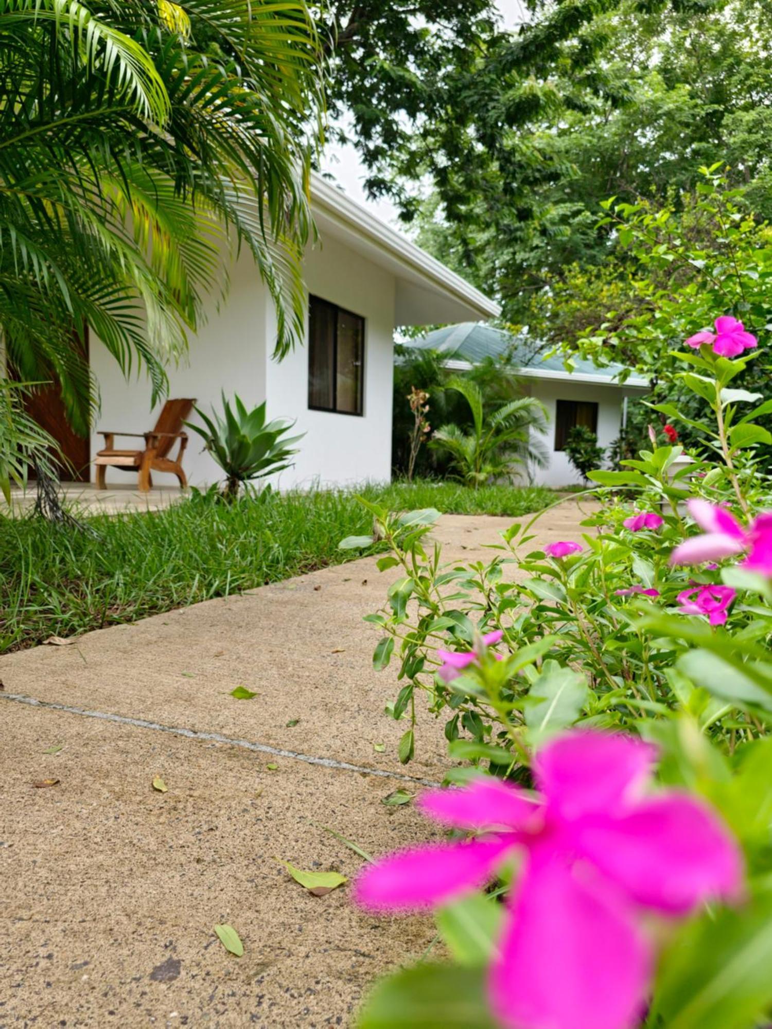 San Juanillo Buddha Retreat Hotel מראה חיצוני תמונה