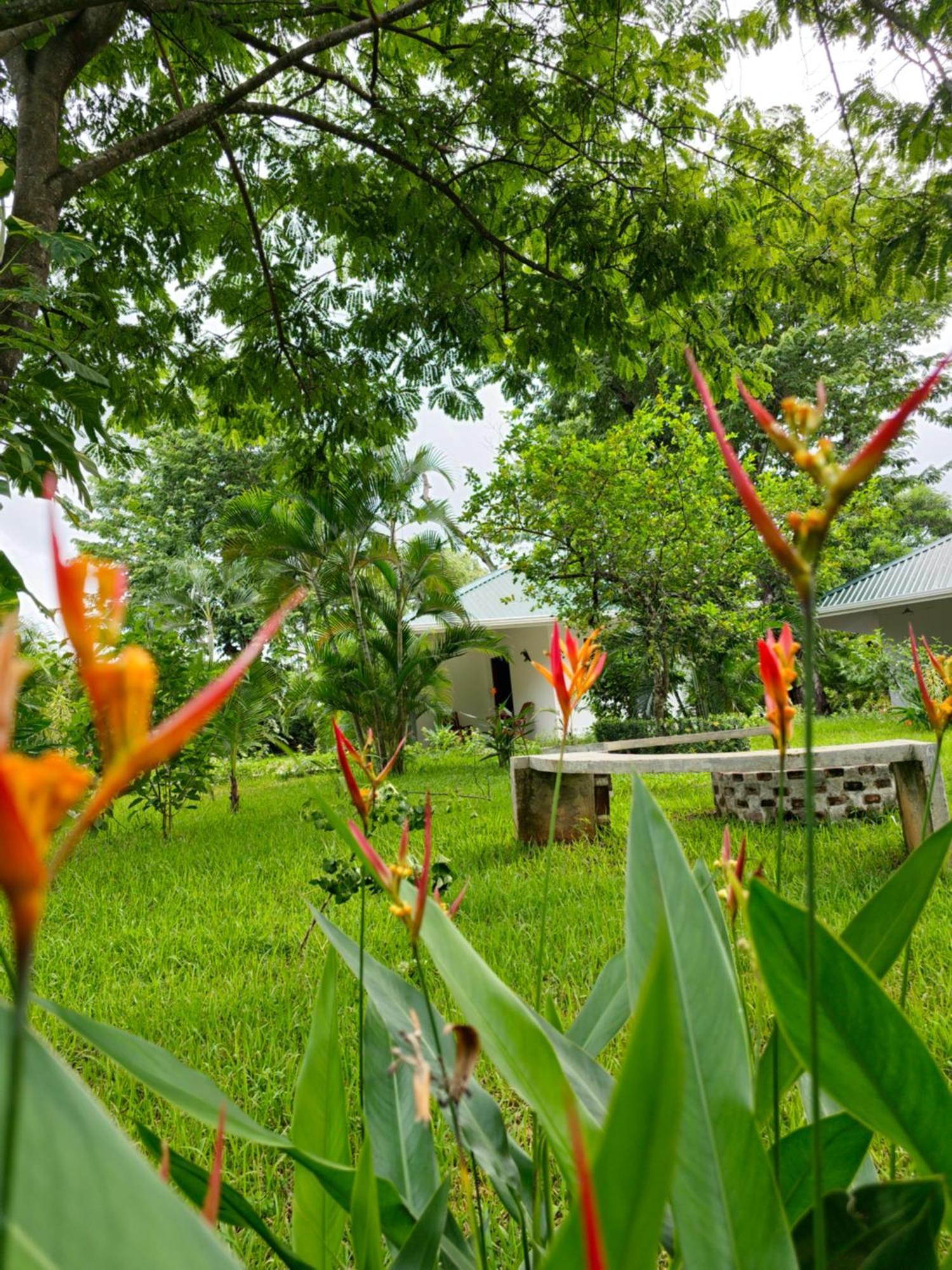 San Juanillo Buddha Retreat Hotel מראה חיצוני תמונה
