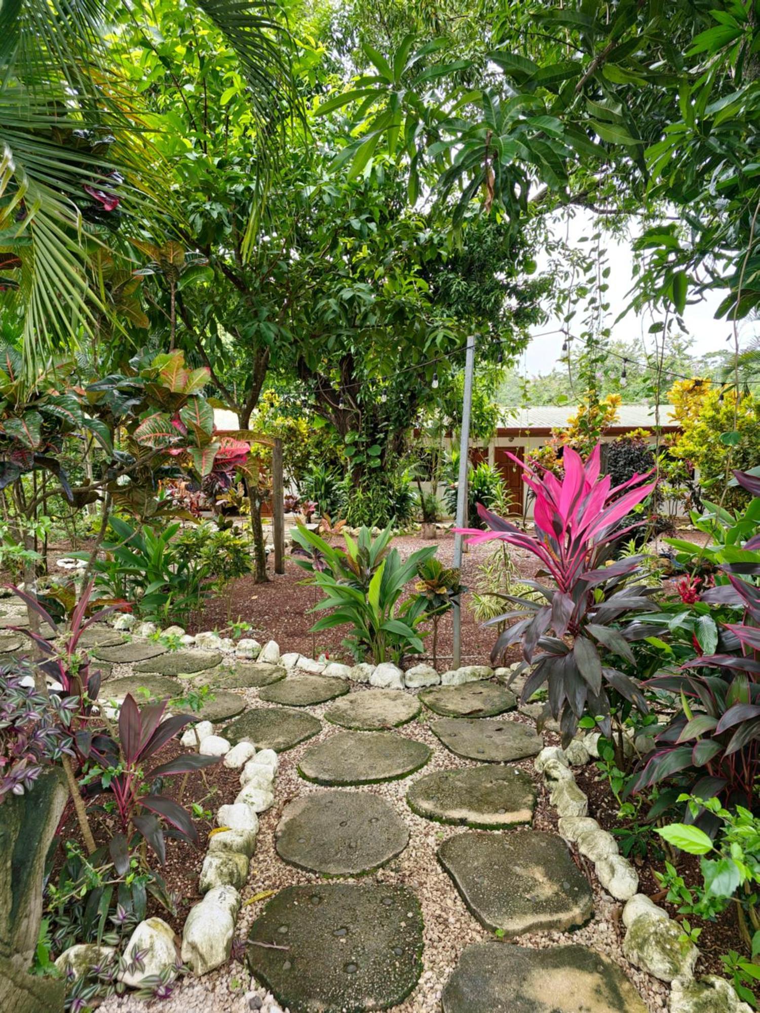 San Juanillo Buddha Retreat Hotel מראה חיצוני תמונה