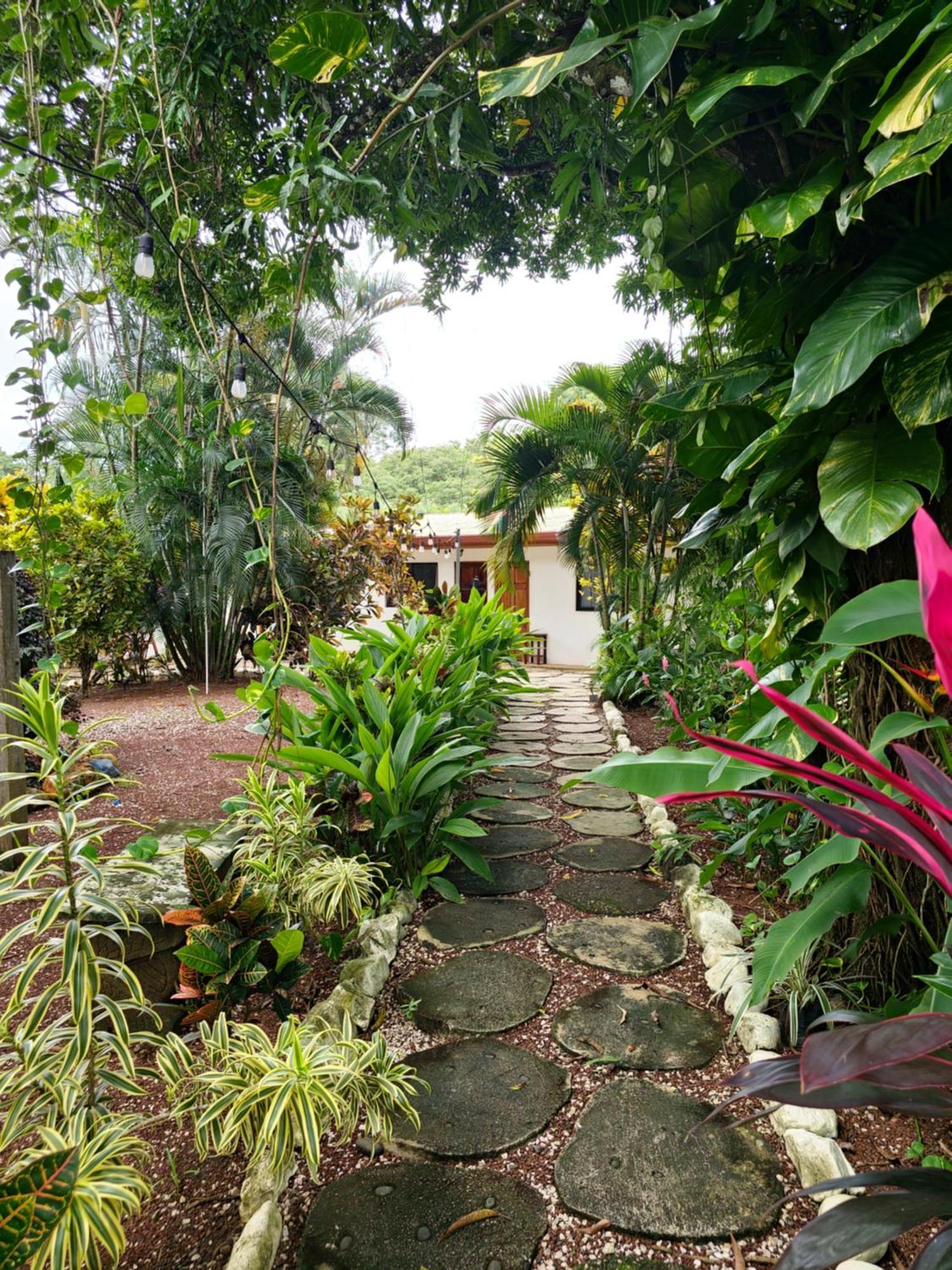 San Juanillo Buddha Retreat Hotel מראה חיצוני תמונה